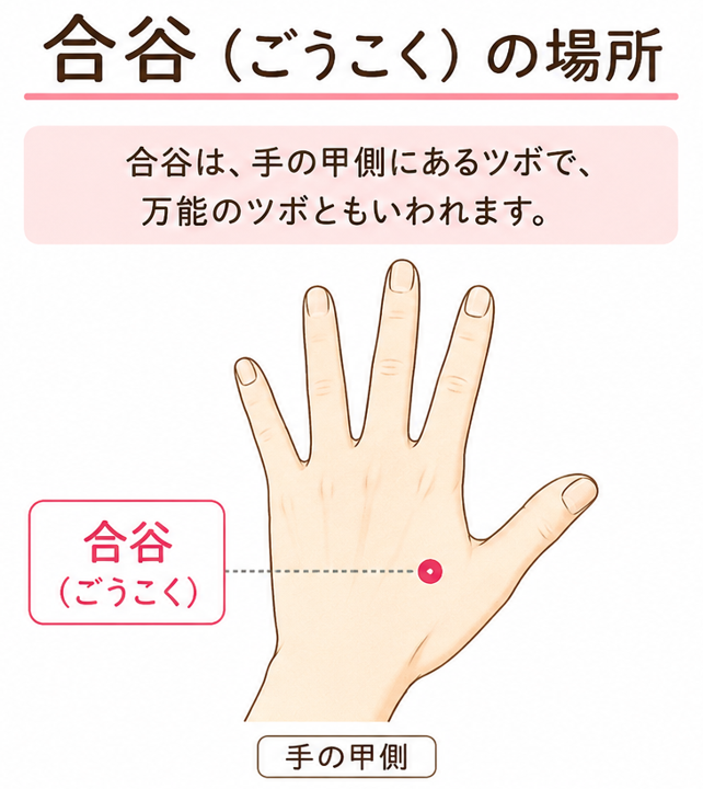 合谷（ごうこく）のツボの位置を示す図