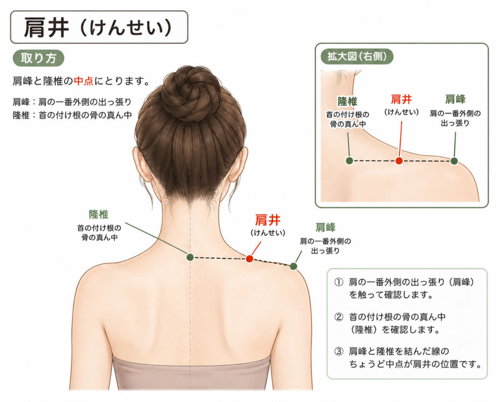 肩井(けんせい)のツボの位置を示すイラスト。肩峰と隆椎を結んだ線の中点にあり、肩こり解消に効果的なツボ