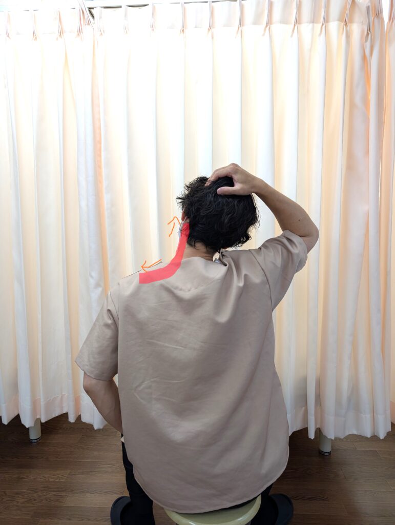 椅子に座ったまま片手で頭を横に倒し、反対側の首筋を伸ばすストレッチ