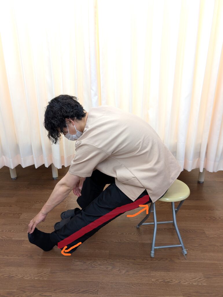 椅子に浅く座り、上体を前に倒して腰から太ももの裏を伸ばすストレッチ