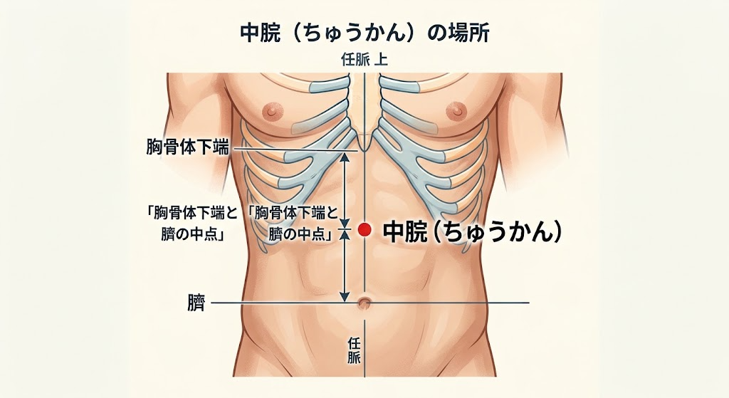 中脘（ちゅうかん）のツボの位置。胸骨体下端とおへそを結ぶ線の中点にある