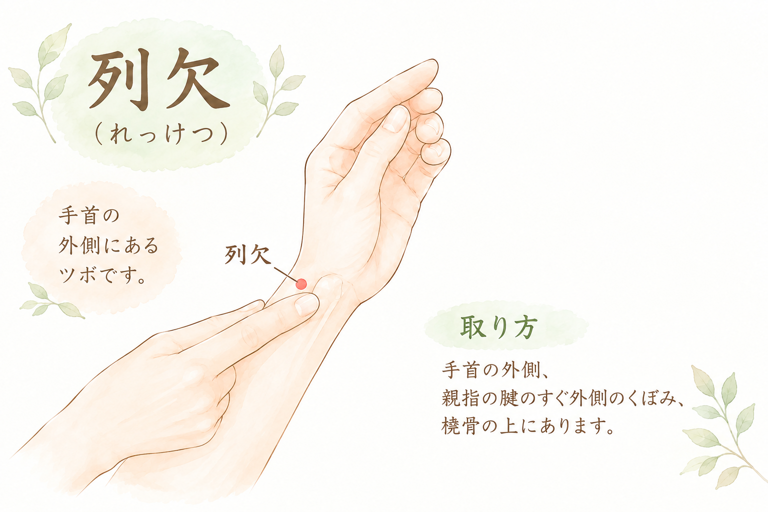 列欠（れっけつ）のツボの位置を示すイラスト。手首の外側、親指の腱のすぐ外側のくぼみ、橈骨の上にある